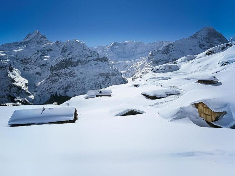 Appartement Chalet Aphrodite West à Grindelwald Extérieur photo
